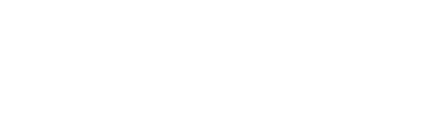 Blue Sense Digital logo